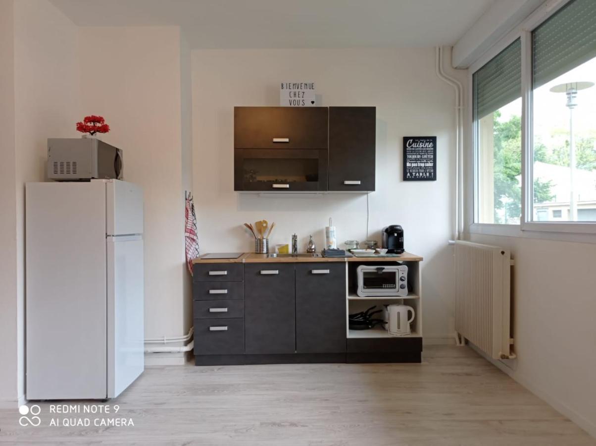 Appartement La Roseraie Parking Prive Mâcon Eksteriør bilde